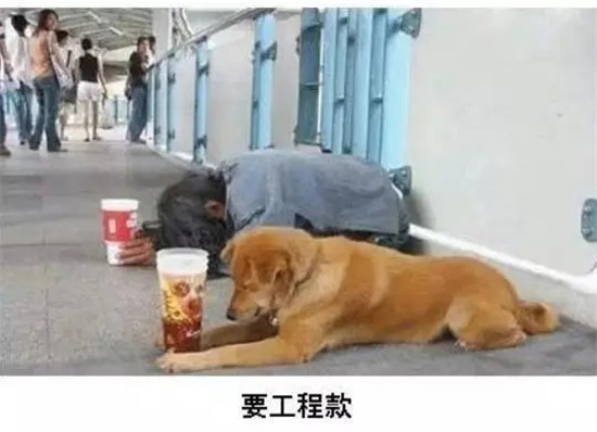 不许笑！工地岗位表情一览表 . . .切