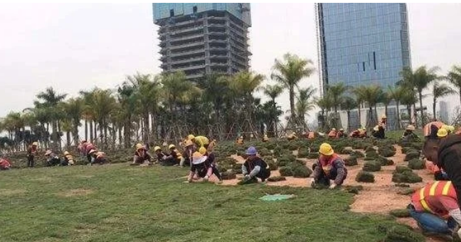 绿化工证怎么考？绿化工证如何考取呢？需要